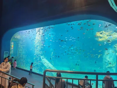 Prezzo di fabbrica del pannello acrilico per acquario